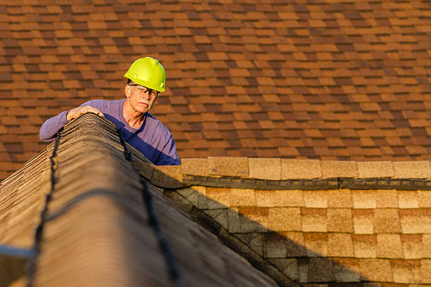 Roof Gutter Cleaning in Neodesha, KS